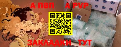 спиды Донской
