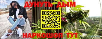 спиды Донской