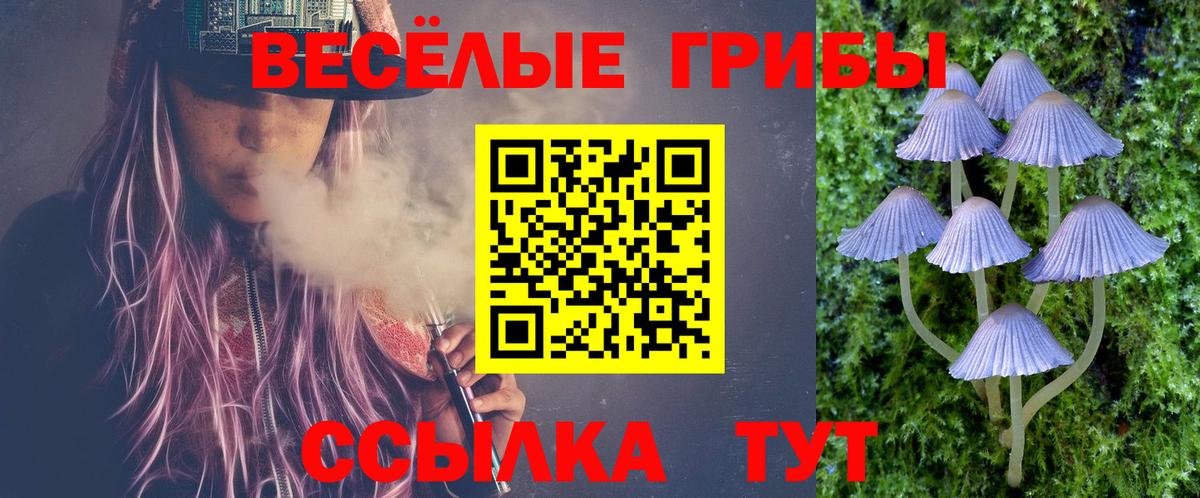Галлюциногенные грибы ЛСД Лесосибирск
