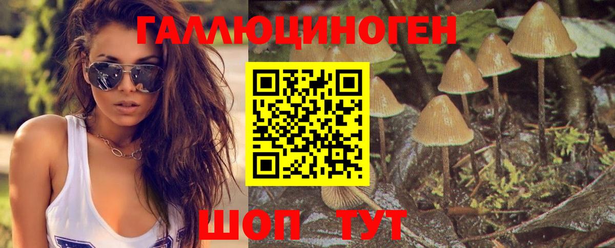 Лесосибирск  Псилоцибиновые грибы Cubensis  Вход с VPN 